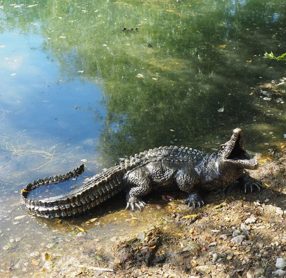 Baby Crocodile Bronze Metal Garden Ornament