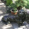 Bassett Hound Dog Bronze Metal Garden Statue