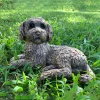 Cockapoo 25cm Bronze Resin Garden Ornament