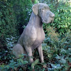 Great Dane Male Dog Stone Garden Statue