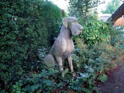 Great Dane Male Dog Stone Garden Statue