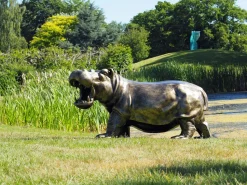 Happy Hippo Bronze Metal Garden Statue
