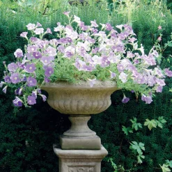 Victorian Medium Stone Garden Planter